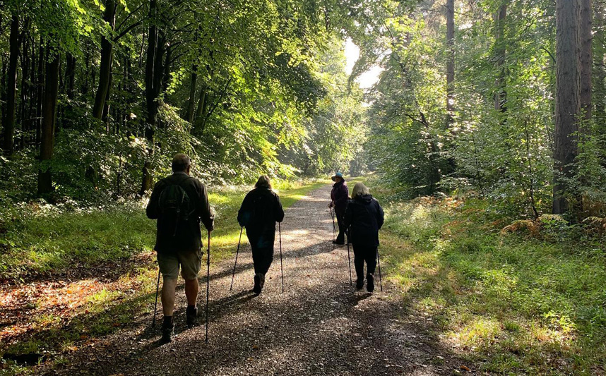 Sherwood Forest Nordic Walking